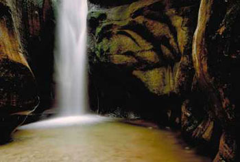 Photo of a waterfall in Zion National Park - Photo by Jonathan Long